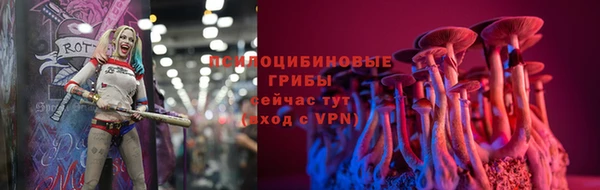 дмт Осташков