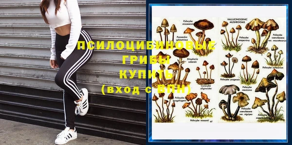 ГАЛЛЮЦИНОГЕННЫЕ ГРИБЫ Абаза